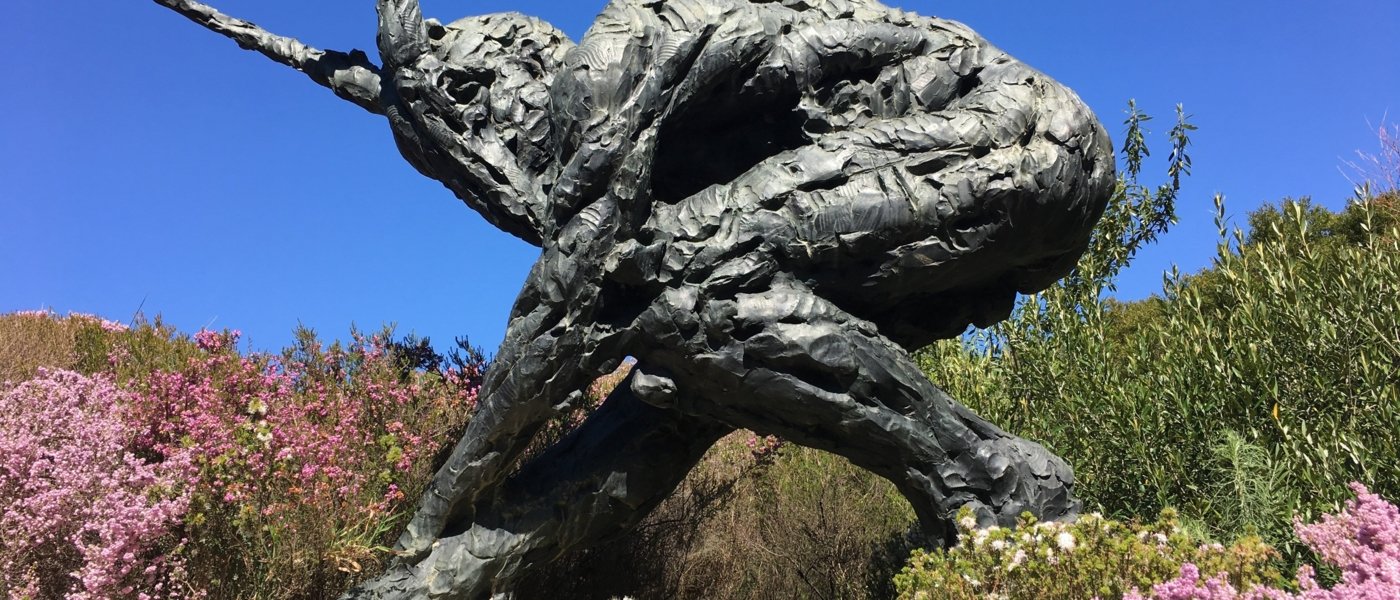 Exploring the Musical Vines & Sculptures of Stellenbosch - Wine Paths